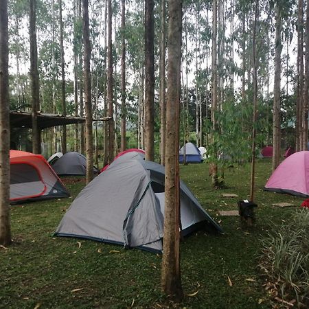 Murchison Backpackers Masindi Екстериор снимка