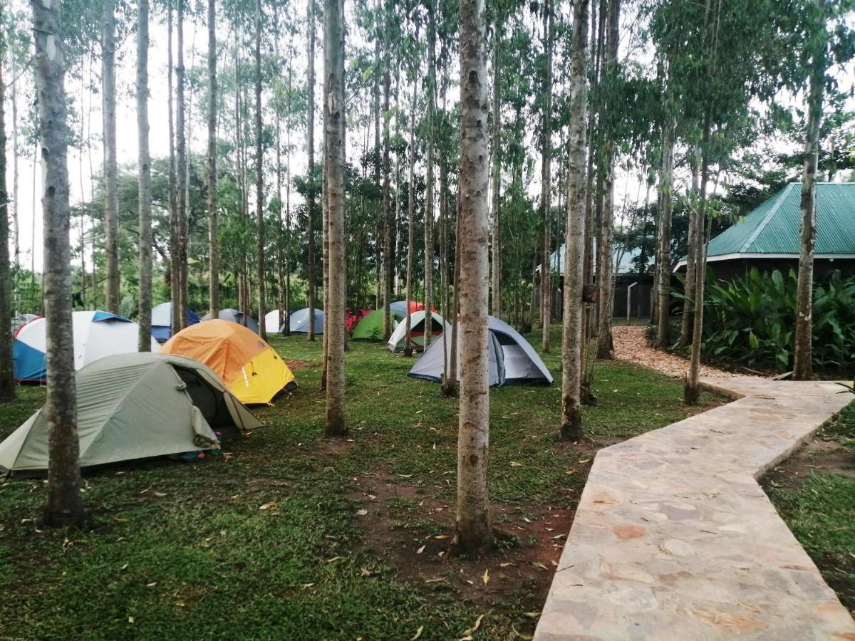 Murchison Backpackers Masindi Екстериор снимка