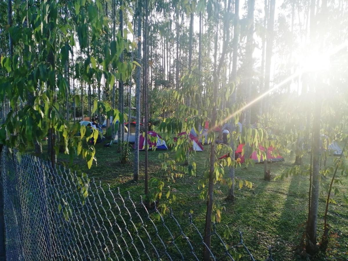 Murchison Backpackers Masindi Екстериор снимка