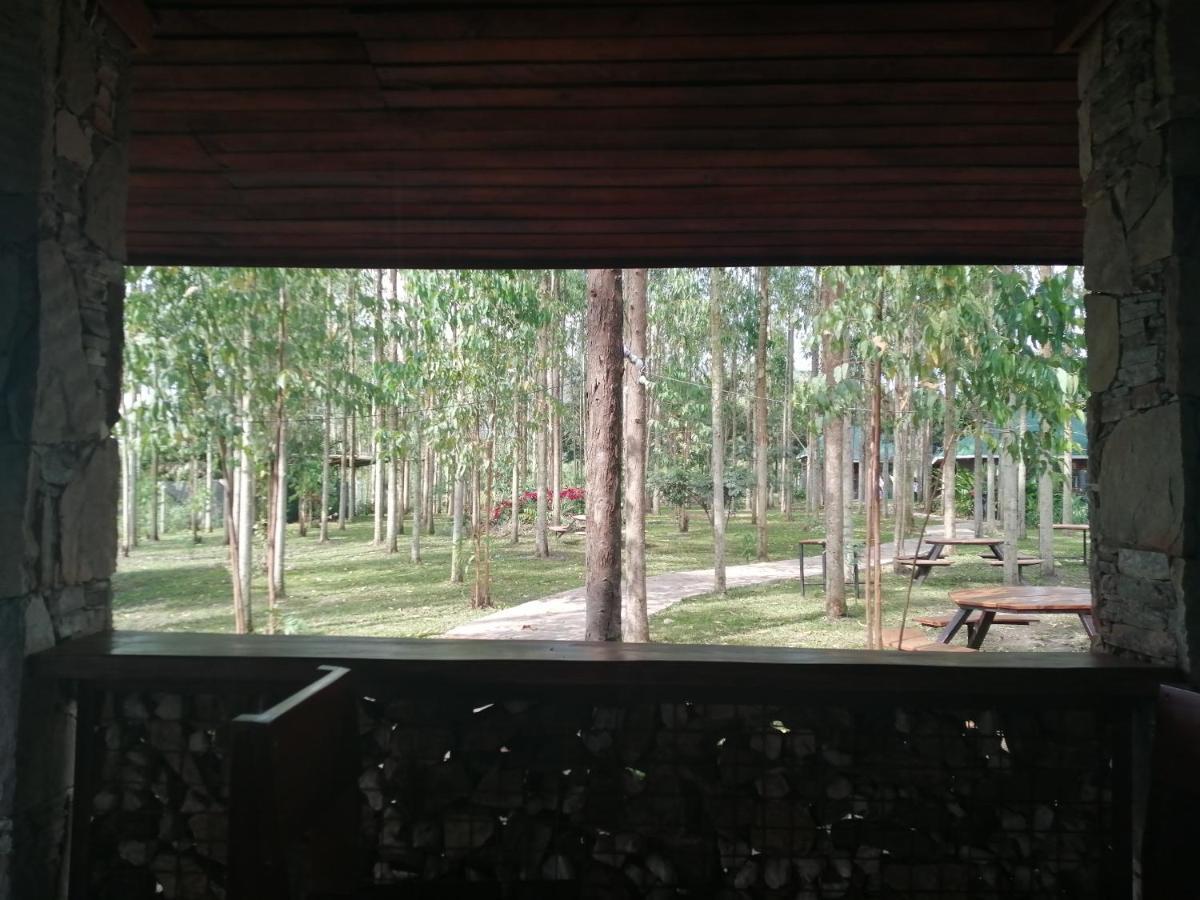 Murchison Backpackers Masindi Екстериор снимка