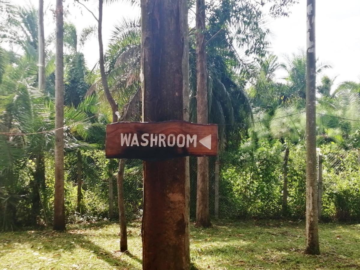 Murchison Backpackers Masindi Екстериор снимка