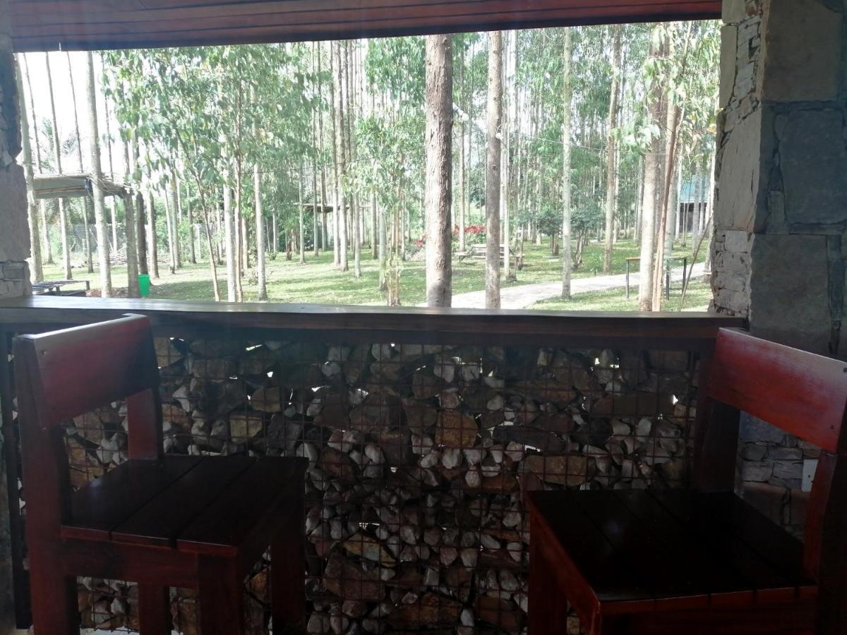 Murchison Backpackers Masindi Екстериор снимка