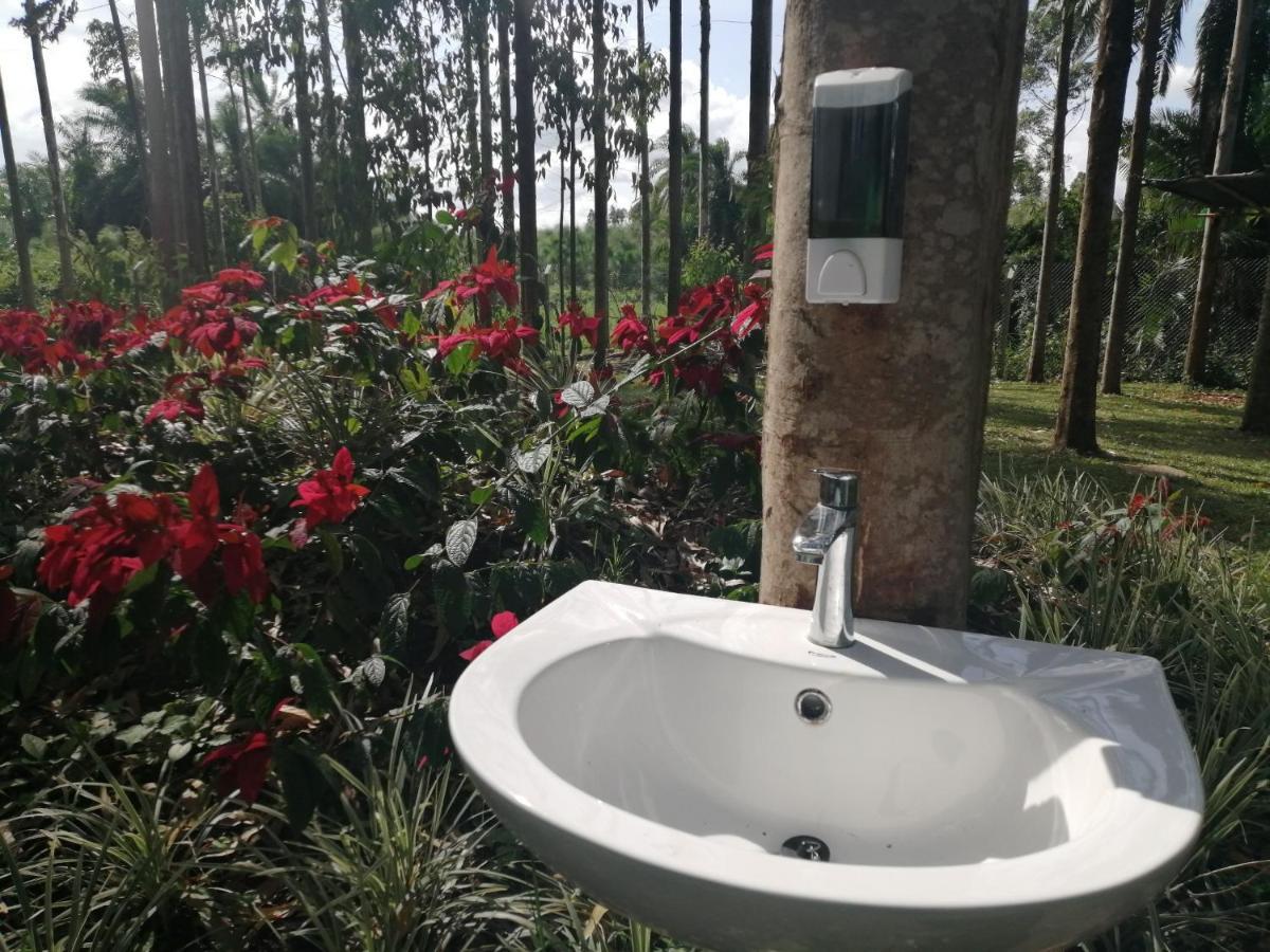 Murchison Backpackers Masindi Екстериор снимка